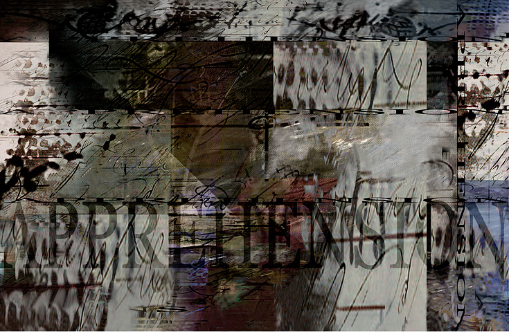 apprehension_georgeta nagy stoica 2010
